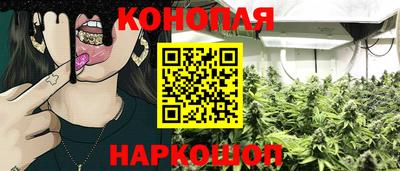 прущие грибы Туймазы