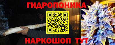 прущие грибы Туймазы
