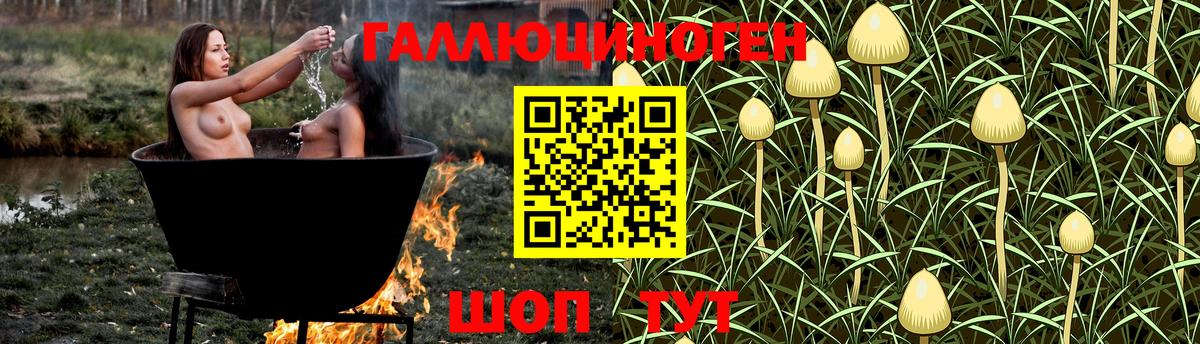 Батайск  Галлюциногенные грибы Psilocybine cubensis  Псилоцибиновые грибы GOLDEN TEACHER  Вход с VPN 